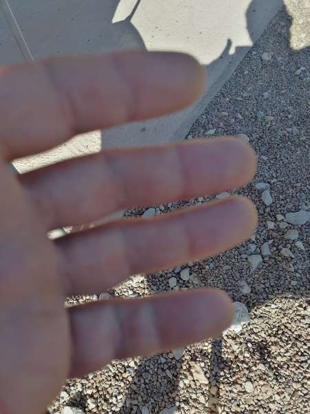 Photo ads/2339000/2339678/a2339678.jpg :  Massage h/f