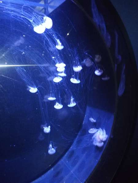 Photo ads/2344000/2344848/a2344848.jpg :  Cunnilingus femme