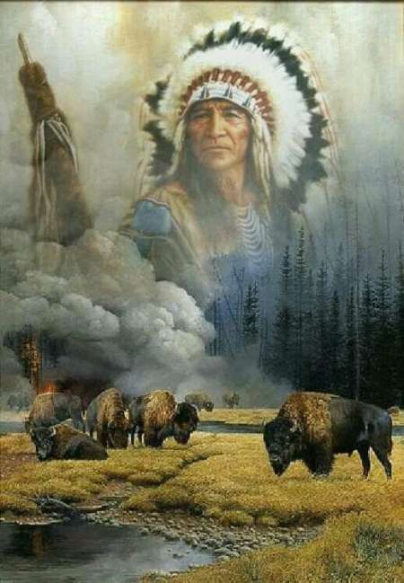 Photo ads/2358000/2358768/a2358768.jpg : Premier expérience débutant