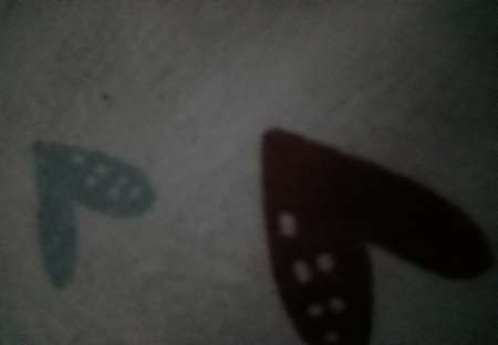 Photo ads/2364000/2364128/a2364128.jpg :  Service a la demande