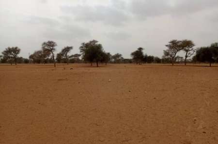 Photo ads/2369000/2369848/a2369848.jpg : Terrain agricole de 7130 m² vers Touba Toul