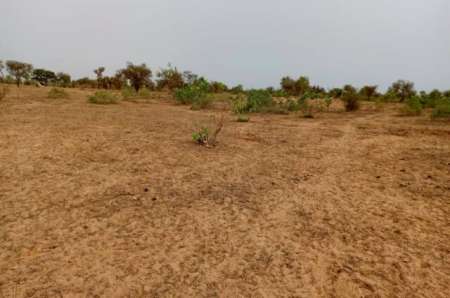 Photo ads/2369000/2369854/a2369854.jpg : Terrain agricole 7500 m² vers Khombole