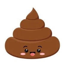 Photo ads/2370000/2370862/a2370862.jpg : H BCBG pour dame adepte de champagne caviar