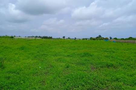Photo ads/2374000/2374441/a2374441.jpg : Terrain agricole de 13 ha vers Nghaye