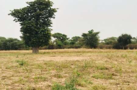 Photo ads/2375000/2375100/a2375100.jpg : Terrain agricole de 1,26 ha vers Méouane