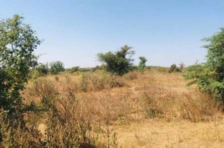 Photo ads/2377000/2377756/a2377756.jpg : Terrain agricole de 1,11 ha vers Notto Diobass