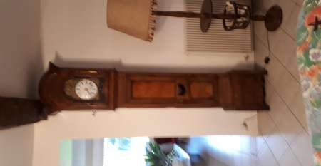 Photo ads/2384000/2384680/a2384680.jpg : comtoise