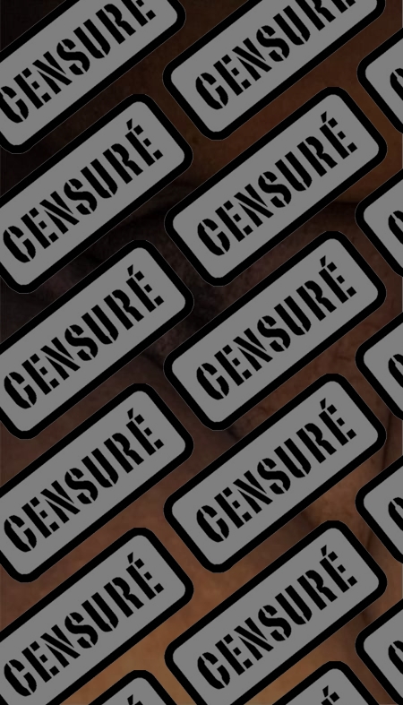 Photo ads/2389000/2389882/a2389882_censure.jpg :  Steflechechatte