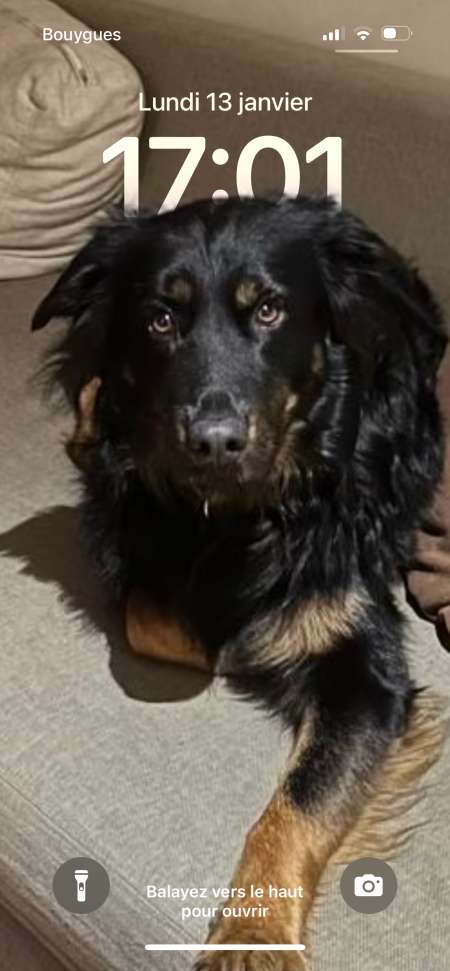 Photo ads/2394000/2394268/a2394268.png : Relation extraconjugual