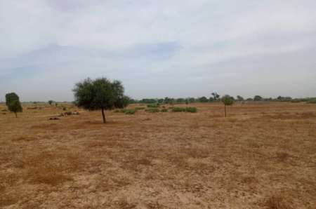 Photo ads/2397000/2397486/a2397486.jpg : Terrain agricole de 7783 m² vers Tassette
