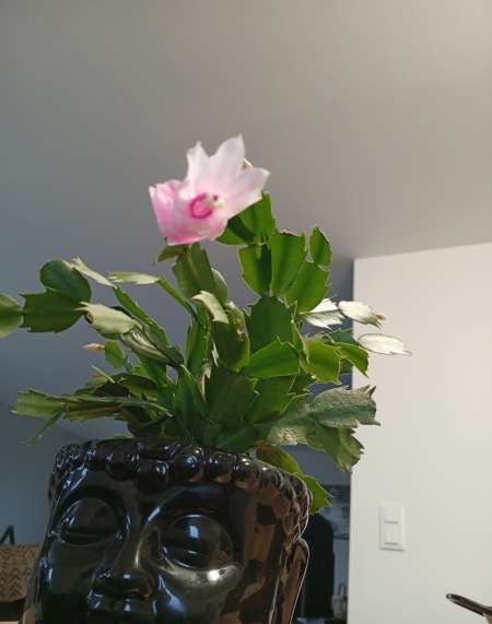 Photo ads/2399000/2399984/a2399984.jpg :  Massage nu