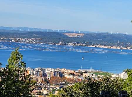 Photo ads/2404000/2404703/a2404703.jpg :  Massage pour femmes ou couples