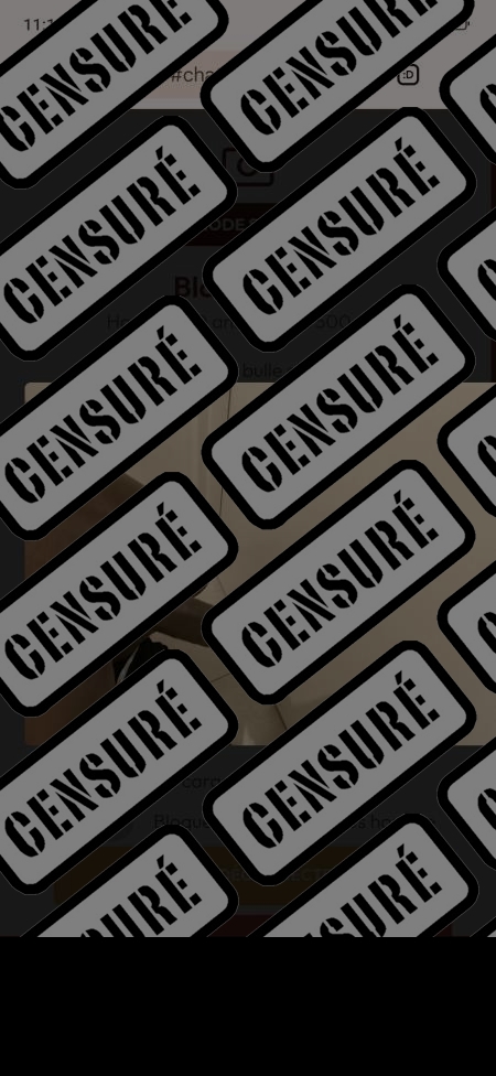 Photo ads/2407000/2407870/a2407870_censure_vol.jpg : Jh métis blak 20c endurant