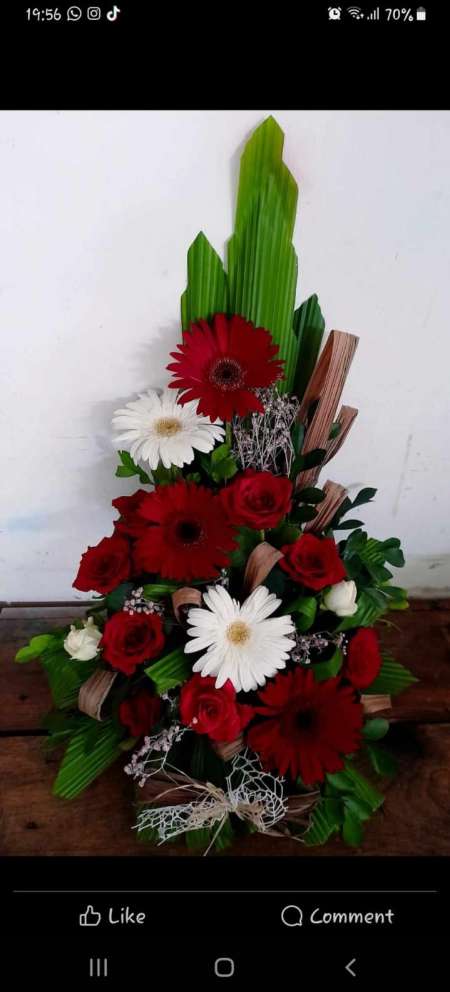 Photo ads/2412000/2412427/a2412427.jpg : Trans malbaraise