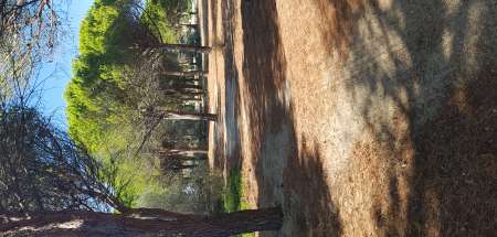 Photo ads/2416000/2416433/a2416433.jpg :  Homme Soumis rech un Cpl , un Homme ,une Femme.