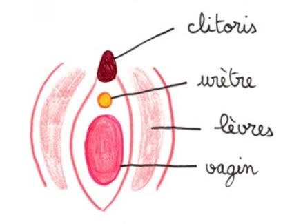 Photo ads/2418000/2418578/a2418578.jpg : cherche fisteur