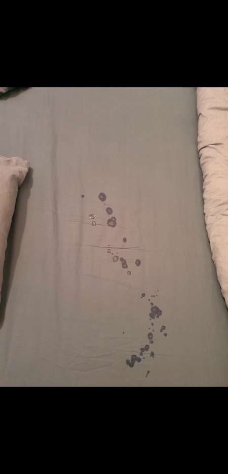 Photo ads/2429000/2429886/a2429886.jpg : cherche draps sales