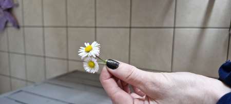 Photo ads/2434000/2434526/a2434526.jpg :  Jeune f cherche jeune f SOUMISE