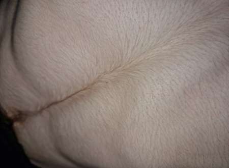 Photo ads/2437000/2437171/a2437171.jpg : 18 ans tbm dominateur