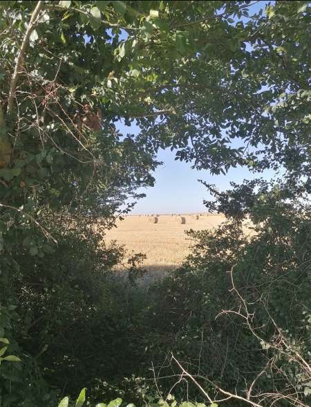 Photo ads/2443000/2443510/a2443510.jpg : Cherche Escorte girl sur Bordeaux Merignac