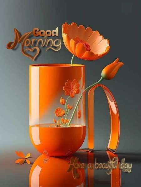 Photo ads/2451000/2451396/a2451396.jpg : Cherche première expérience