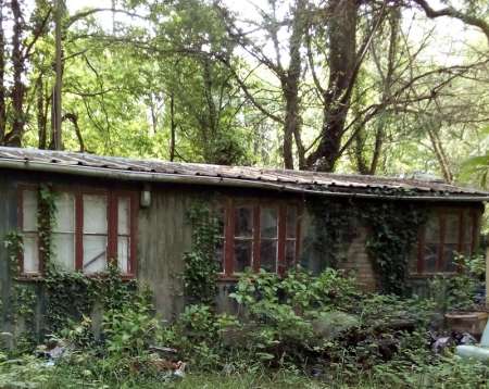 Photo ads/2455000/2455664/a2455664.jpg : Terrain forestier de loisir