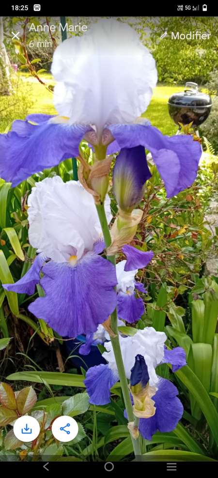 Photo ads/2456000/2456387/a2456387.jpg : Homme 45 ans propose massage