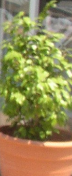 Photo ads/2464000/2464067/a2464067.png : Homme en couple recherche femme en couple