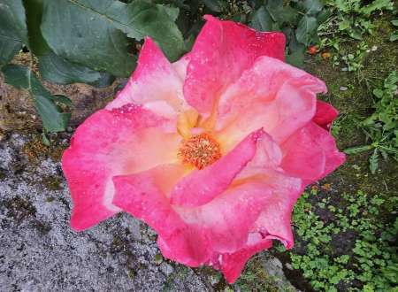 Photo ads/2465000/2465407/a2465407.jpg : Massage relaxant apaisant