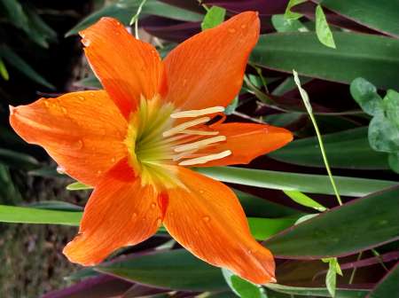 Photo ads/2467000/2467363/a2467363.jpg : Soirée entre couple le 12/07