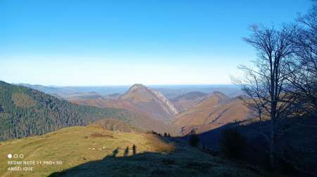 Photo ads/2471000/2471978/a2471978.jpg : douceur