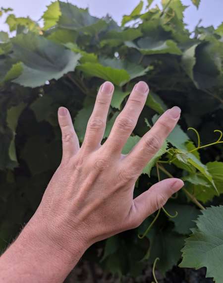 Photo ads/2472000/2472078/a2472078.jpg : Essayer toutes nouvelles expériences !