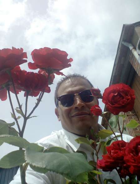 Photo ads/2474000/2474080/a2474080.jpg : Jardinier a votre service