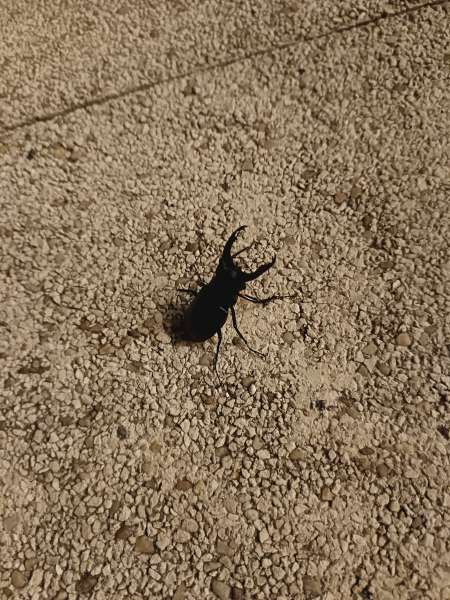 Photo ads/2475000/2475800/a2475800.jpg : Découvrir et partager, des personnes Open