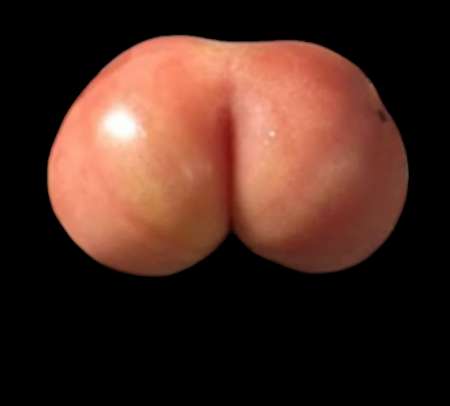 Photo ads/2479000/2479974/a2479974.png : Hétéro cherche gars bien monté pour me dépuceler