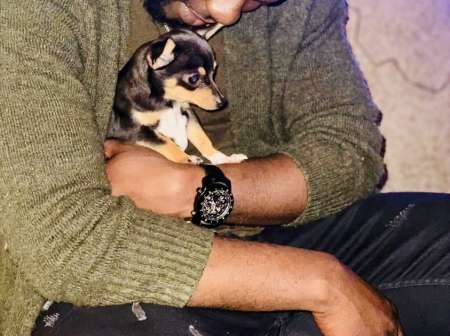 Photo ads/2480000/2480332/a2480332.jpg : A vous les dames.