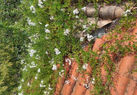 Photo ads/2482000/2482136/a2482136.jpg : Bricolage