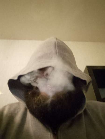 Photo ads/2487000/2487241/a2487241.jpg : Plan coquin 56