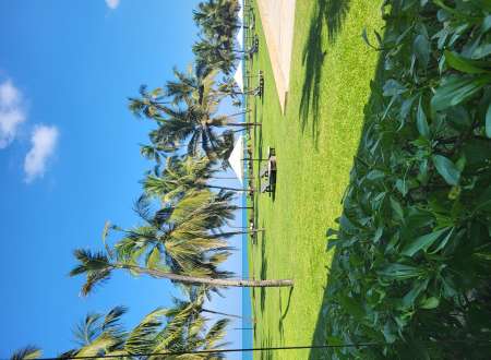 Photo ads/2490000/2490453/a2490453.jpg : Cherche femme desirant poser