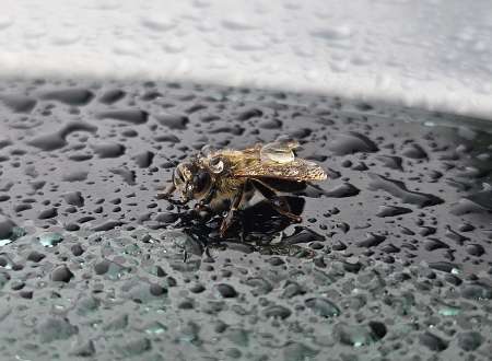 Photo ads/2503000/2503770/a2503770.jpg : Pour femme de 18 as 80 ans