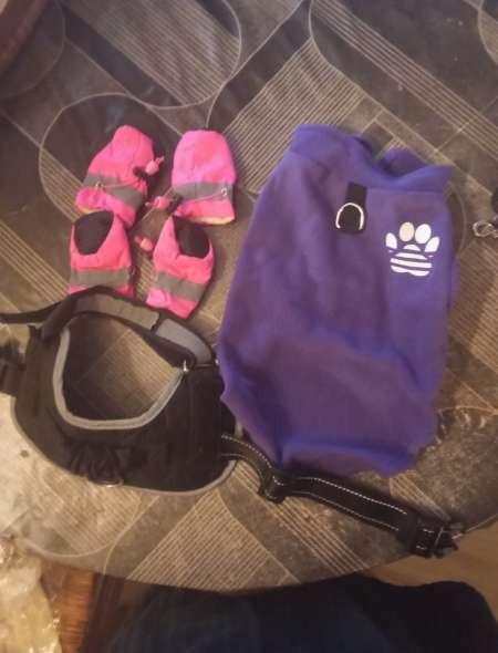 Photo ads/2507000/2507930/a2507930.jpg : accessoires