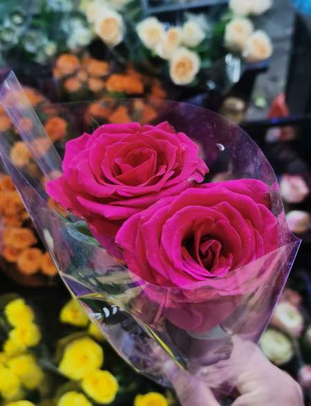 Photo ads/2508000/2508606/a2508606.jpg : Envie de jouer, viens me retrouver !!!