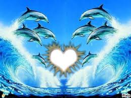 Photo ads/2510000/2510519/a2510519.jpg : RENCONTRE DIVERSES avec couple et femme