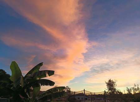 Photo ads/2512000/2512946/a2512946.jpg : Massage relaxant doux