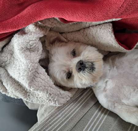 Photo ads/2514000/2514670/a2514670.jpg : Rencontre culottes fétiches