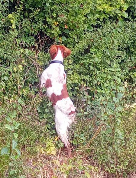 Photo ads/2515000/2515933/a2515933.jpg : Homme recherche femme