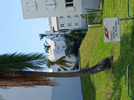 Photo ads/2516000/2516228/a2516228.jpg : Homme actif pour couple