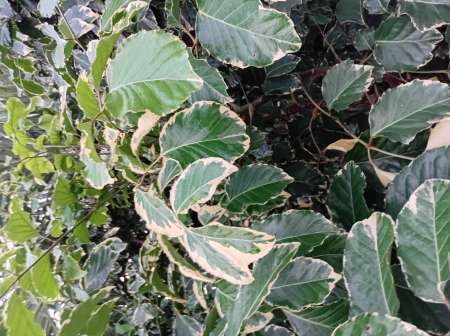 Photo ads/2517000/2517822/a2517822.jpg : Sensation et plaisirs pour femmes