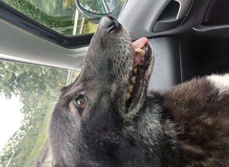 Photo ads/2521000/2521687/a2521687.jpg : Recherche de ma destinée