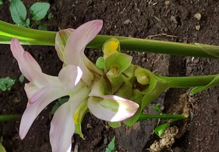 Photo ads/2523000/2523918/a2523918.jpg : Homme cherche Femme pour amitié